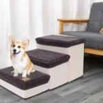 Espace de vie confortable avec un corgi joyeux et des escaliers pour animaux.