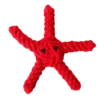 etoile de mer