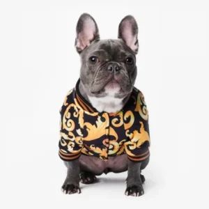 French Bulldog stylé en tee-shirt noir et or, charmant et à la mode.