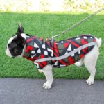 French Bulldog avec manteau géométrique coloré sur un chemin ensoleillé.