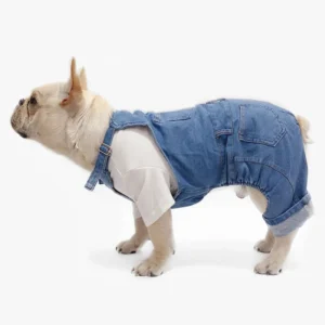 Bouledogue français en salopette en denim et chemise blanche, curieux et adorable.