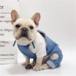 French Bulldog adorable en tenue en denim, alliant style et charme dans un décor élégant.