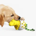 Un adorable chiot golden retriever joue avec un jouet coloré en forme de dinosaure.