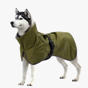 Husky sibérien en manteau olive sur fond blanc, alliant style et confort pour lextérieur.