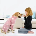 Une jeune fille joue avec son Labrador dans un salon chaleureux et accueillant.