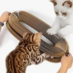 Jouet interactif pour chats : un Bengal et un chaton blanc en pleine exploration.