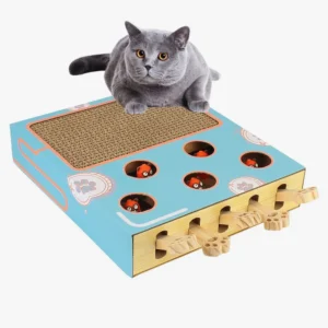 Chat gris jouant avec une boîte à jouets interactive bleue et grise.