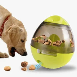 Jouet interactif pour chien en forme dœuf, distribuant des friandises pour stimuler lesprit.