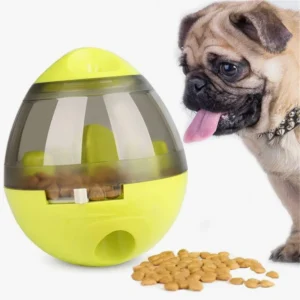 Jouet interactif pour chien : un pug curieux joue avec des friandises jaunes.