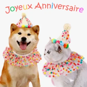 Célébration joyeuse danniversaire avec un Shiba Inu et un chat en fête.