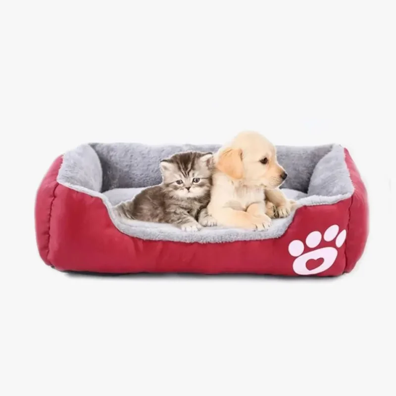 Kittens et chiots adorables se reposent ensemble dans un lit douillet rouge et gris.