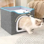 Maison moderne pour chat avec un félin curieux en sortie, ambiance chaleureuse et confortable.