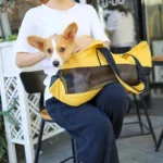 Moment cosy entre un propriétaire et son corgi dans un café accueillant.