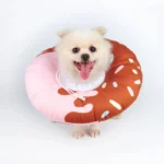 Chien Pomeranian joyeux dans un flotteur en forme de donut amusant et coloré.