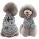 Poodle joyeux en tenue stylée et confortable, mettant en valeur son charme adorable.