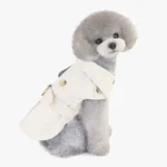 Poodle gris adorable en trench blanc, chic et souriant, charme irrésistible.