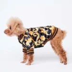 Poodle enjoué en chemise noire à motifs floraux, pose élégante sur fond blanc.