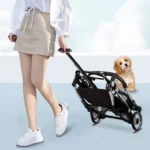 Promenade chic avec un chien dans une poussette moderne par une belle journée ensoleillée.