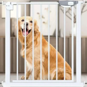 Golden retriever joyeux derrière une barrière de sécurité dans un intérieur accueillant.