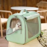 Sac à animaux menthe avec un chat curieux, alliant confort et style moderne.