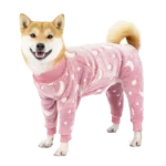 Shiba Inu adorable en habit rose pastel, confortable et joyeux, prêt pour laventure.