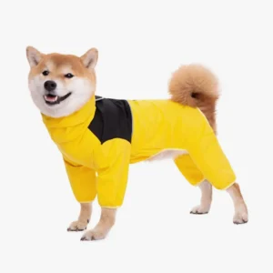 Shiba Inu joyeux en manteau de pluie jaune, adorable et prêt pour laventure.