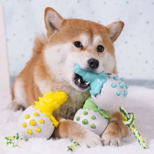 Shiba Inu joyeusement en train de jouer avec des jouets colorés sur un tapis doux.