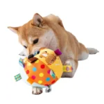 Shiba Inu joyeux jouant avec une balle colorée sur un sol clair.