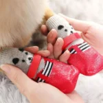 Chaussettes rouges pour chien : confort et style avec pois et rayures amusantes.