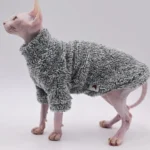 Sphynx en pull gris douillet, mettant en valeur son charme et sa personnalité unique.