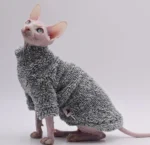 Sphynx élégant en vêtement gris douillet, charme et confort réunis pour les amoureux des chats.