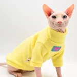 Sphynx en pull jaune, regard curieux, style amusant et tendance féline.