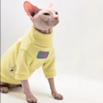 Sphynx élégant en pull jaune, un style tendance pour les amoureux des chats.