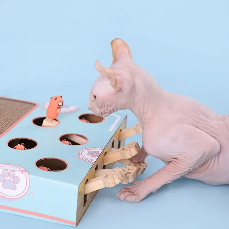 Un Sphynx curieux explore un jouet coloré dans un décor pastel joyeux.