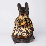 Bouledogue français élégant en veste colorée avec motifs, incarnant la mode animale moderne.