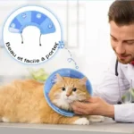 Vétérinaire attentif avec un chat ginger portant un collier bleu après une chirurgie.