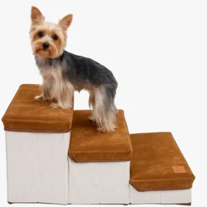 Yorkshire Terrier sur des escaliers pour animaux, alliant confort et praticité pour petits chiens.