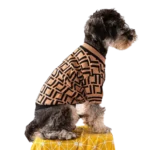 Chien mignon en pull marron et noir, alliant style et confort.