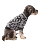 Le Schnauzer porte un pull à rayures grises et noires, il est trop stylé !