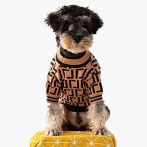 Chien mignon en pull marron et noir, alliant style et confort.