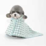 Chien adorable en cape gingham bleu et blanc, prêt pour une journée confortable et stylée.