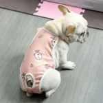 Charming bulldog français en tenue rose, posé sur un sol moderne et accueillant.