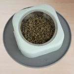 Bol alimentaire moderne en inox avec support en silicone pour animaux de compagnie.