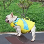 Bulldog français en veste jaune, prêt pour laventure dans la nature verdoyante.