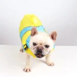 Bulldog français en gilet de sauvetage jaune, prêt pour l’aventure aquatique joyeuse.