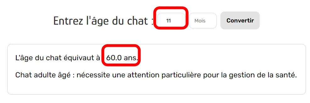 Un calculateur d'âge pour chats : 11 ans chez un chat équivalent à 60 ans chez un humain.