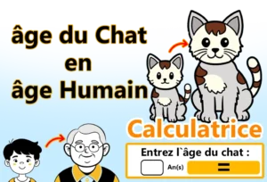 Calculateur de conversion de l'âge du chat en âge humain