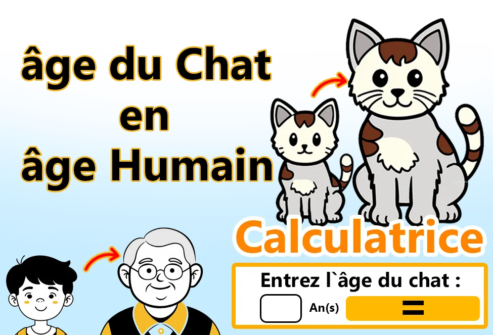 Calculateur de conversion de l'âge du chat en âge humain