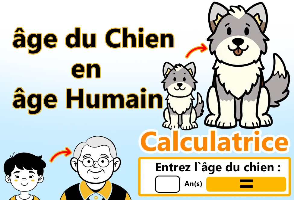 Calculateur de conversion de l'âge du chien en âge humain