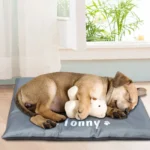 Charming chiot endormi sur un lit confortable avec un jouet en peluche.